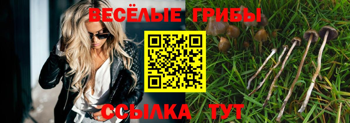Галлюциногенные грибы GOLDEN TEACHER  Вход с VPN  Галлюциногенные грибы Cubensis  Дмитров 