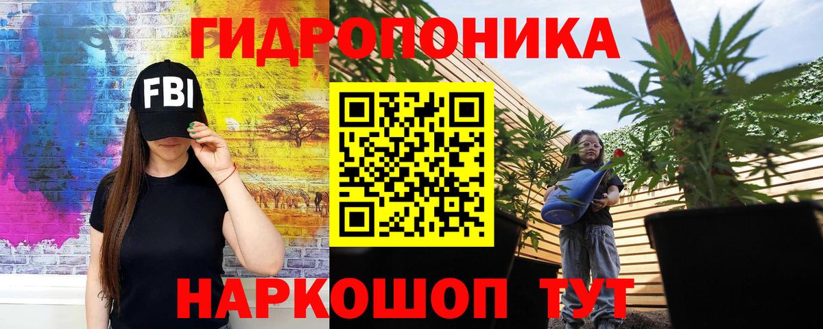 Дмитров  Канабис MAZAR  Бошки марихуана THC 21%  Марихуана AK-47  Вход с VPN 